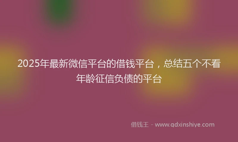 2025年最新微信平台的借钱平台，总结五个不看年龄征信负债的平台
