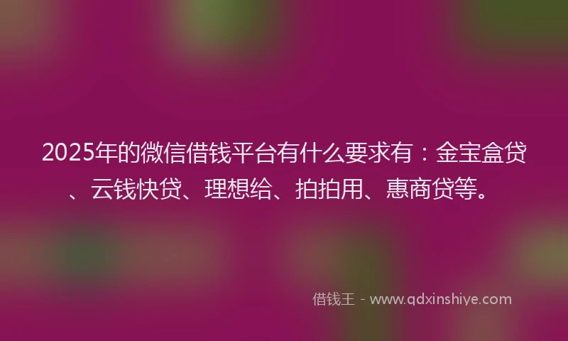 2025年的微信借钱平台有什么要求有：金宝盒贷、云钱快贷、理想给、拍拍用、惠商贷等。