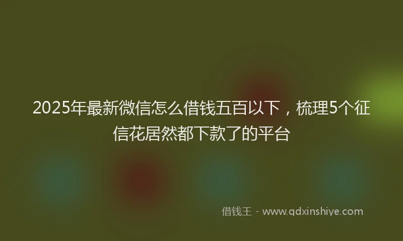 2025年最新微信怎么借钱五百以下，梳理5个征信花居然都下款了的平台