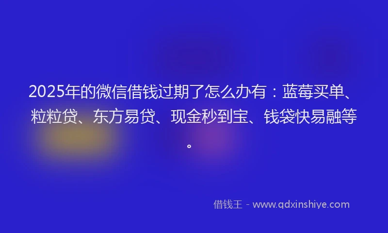 2025年的微信借钱过期了怎么办有：蓝莓买单、粒粒贷、东方易贷、现金秒到宝、钱袋快易融等。