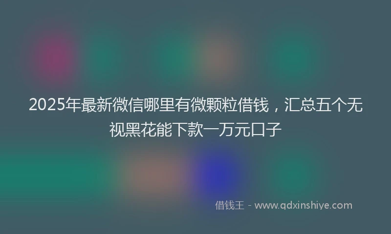 2025年最新微信哪里有微颗粒借钱，汇总五个无视黑花能下款一万元口子