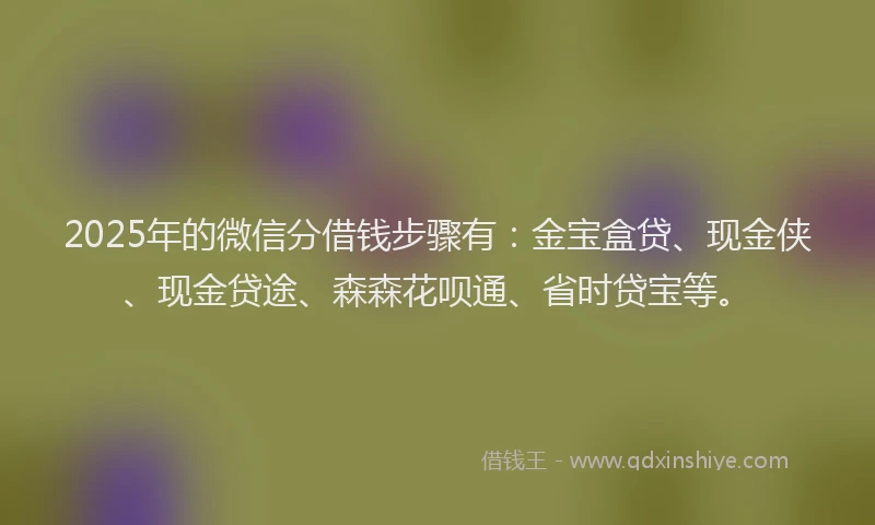 2025年的微信分借钱步骤有：金宝盒贷、现金侠、现金贷途、森森花呗通、省时贷宝等。