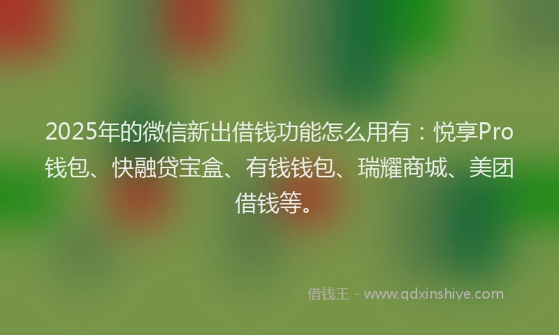 2025年的微信新出借钱功能怎么用有：悦享Pro钱包、快融贷宝盒、有钱钱包、瑞耀商城、美团借钱等。