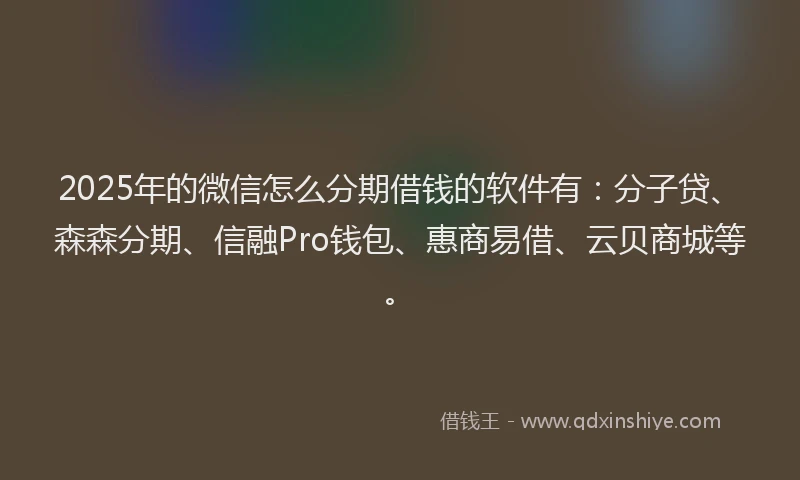 2025年的微信怎么分期借钱的软件有：分子贷、森森分期、信融Pro钱包、惠商易借、云贝商城等。