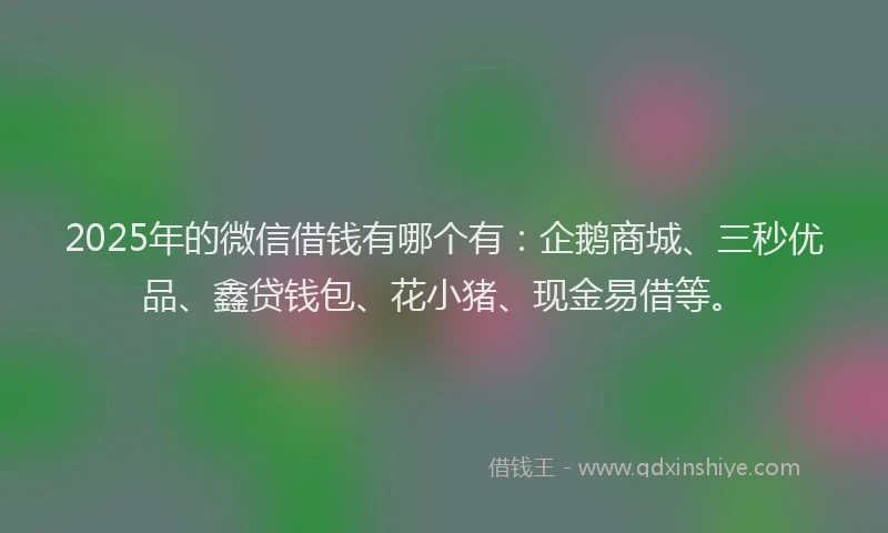 2025年的微信借钱有哪个有：企鹅商城、三秒优品、鑫贷钱包、花小猪、现金易借等。