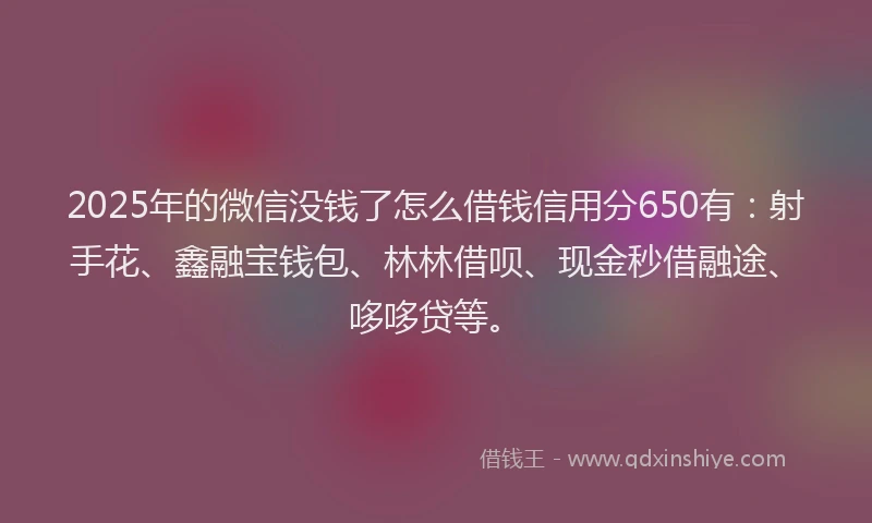 2025年的微信没钱了怎么借钱信用分650有：射手花、鑫融宝钱包、林林借呗、现金秒借融途、哆哆贷等。