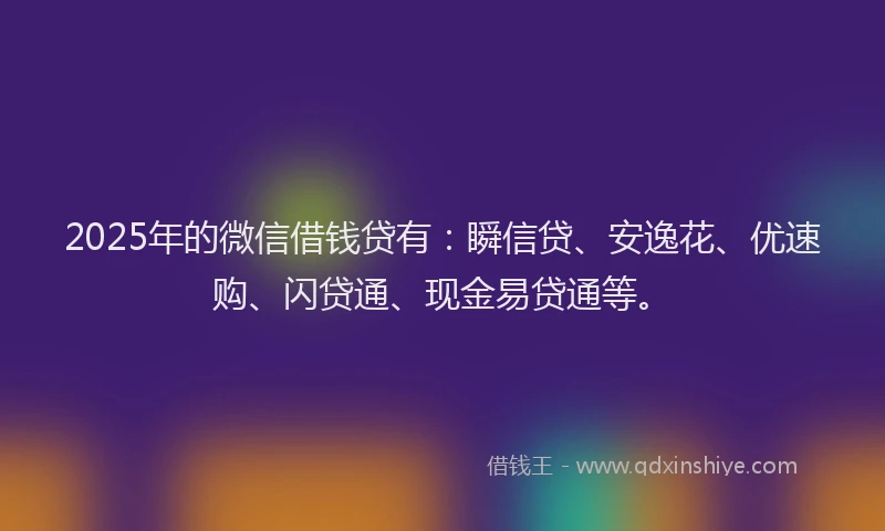 2025年的微信借钱贷有：瞬信贷、安逸花、优速购、闪贷通、现金易贷通等。