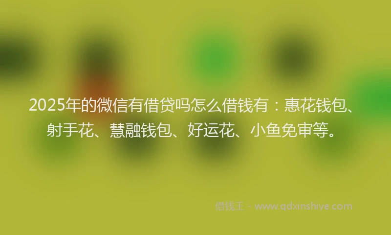 2025年的微信有借贷吗怎么借钱有：惠花钱包、射手花、慧融钱包、好运花、小鱼免审等。