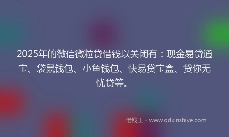 2025年的微信微粒贷借钱以关闭有：现金易贷通宝、袋鼠钱包、小鱼钱包、快易贷宝盒、贷你无忧贷等。