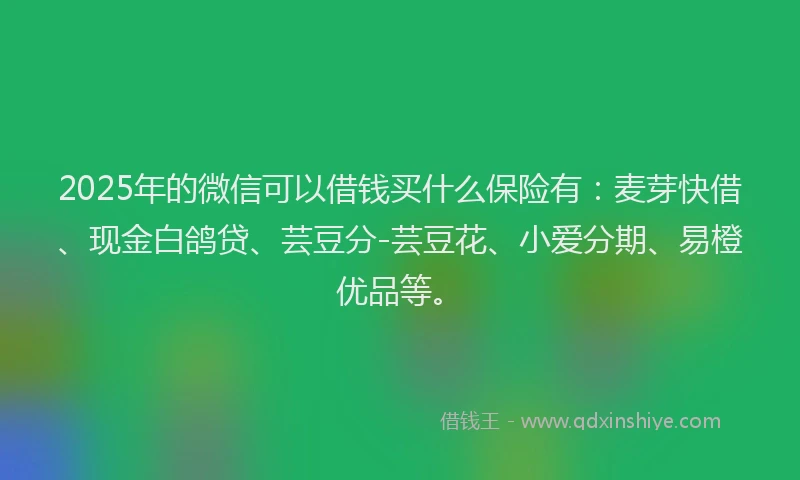 2025年的微信可以借钱买什么保险有：麦芽快借、现金白鸽贷、芸豆分-芸豆花、小爱分期、易橙优品等。