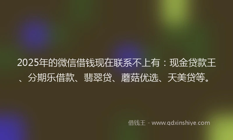 2025年的微信借钱现在联系不上有：现金贷款王、分期乐借款、翡翠贷、蘑菇优选、天美贷等。