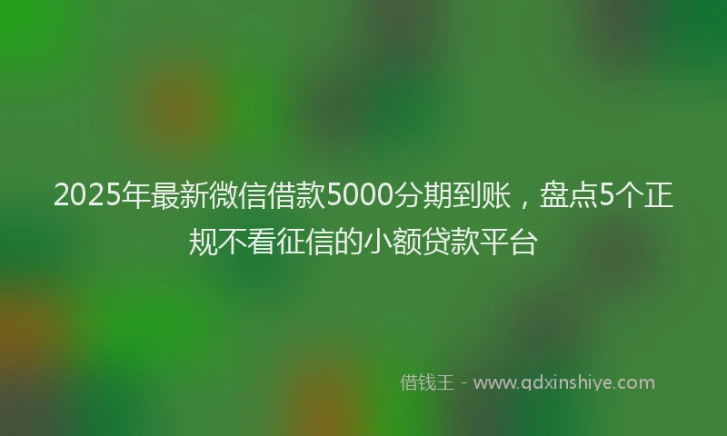 2025年最新微信借款5000分期到账，盘点5个正规不看征信的小额贷款平台