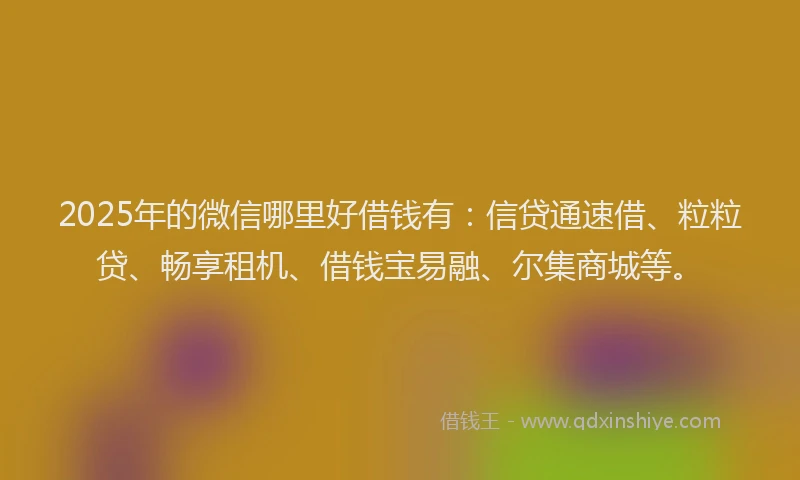 2025年的微信哪里好借钱有：信贷通速借、粒粒贷、畅享租机、借钱宝易融、尔集商城等。