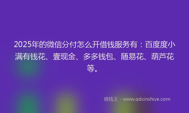 2025年的微信分付怎么开借钱服务有：百度度小满有钱花、壹现金、多多钱包、随易花、葫芦花等。