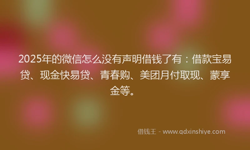 2025年的微信怎么没有声明借钱了有：借款宝易贷、现金快易贷、青春购、美团月付取现、蒙享金等。