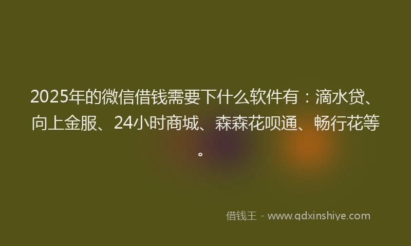 2025年的微信借钱需要下什么软件有：滴水贷、向上金服、24小时商城、森森花呗通、畅行花等。