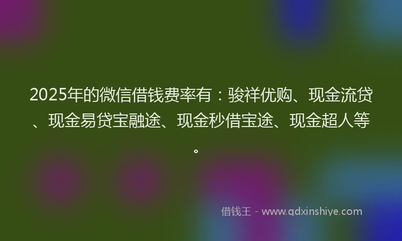 2025年的微信借钱费率有：骏祥优购、现金流贷、现金易贷宝融途、现金秒借宝途、现金超人等。