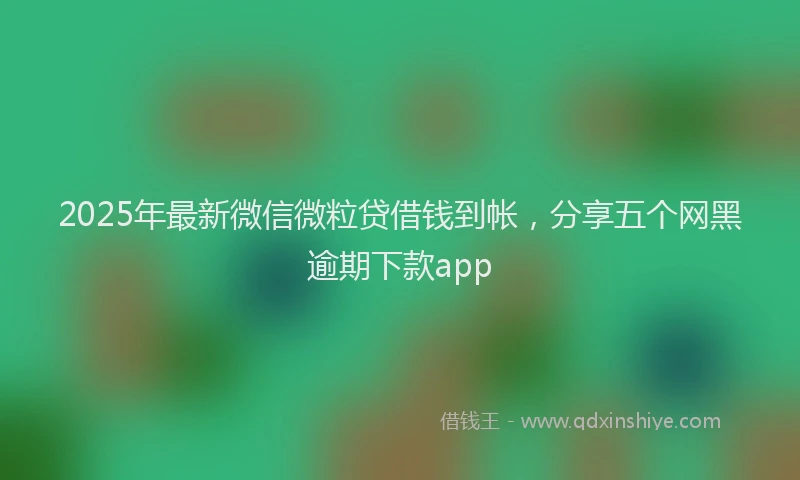 2025年最新微信微粒贷借钱到帐，分享五个网黑逾期下款app