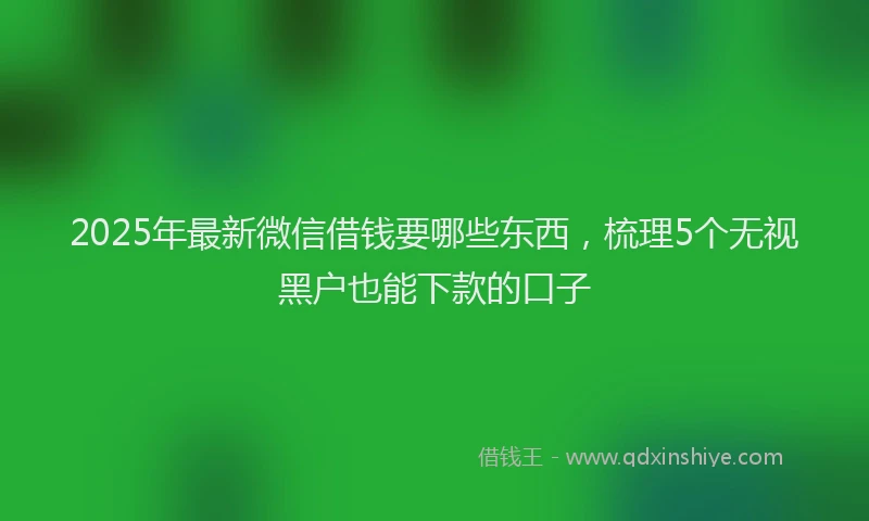 2025年最新微信借钱要哪些东西，梳理5个无视黑户也能下款的口子