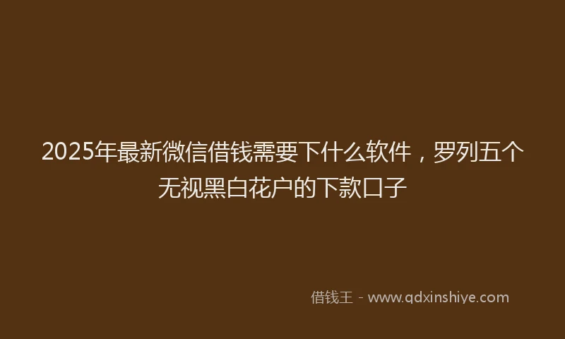 2025年最新微信借钱需要下什么软件，罗列五个无视黑白花户的下款口子