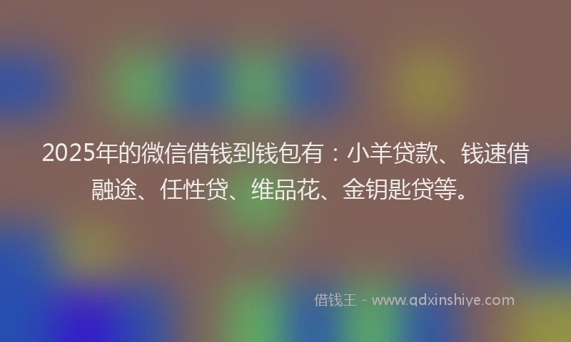 2025年的微信借钱到钱包有：小羊贷款、钱速借融途、任性贷、维品花、金钥匙贷等。
