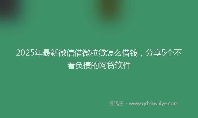 2025年最新微信借微粒贷怎么借钱，分享5个不看负债的网贷软件
