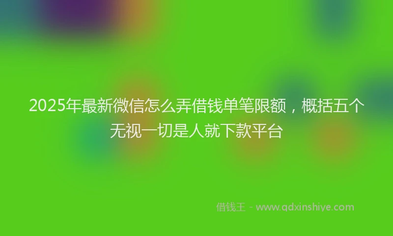 2025年最新微信怎么弄借钱单笔限额，概括五个无视一切是人就下款平台