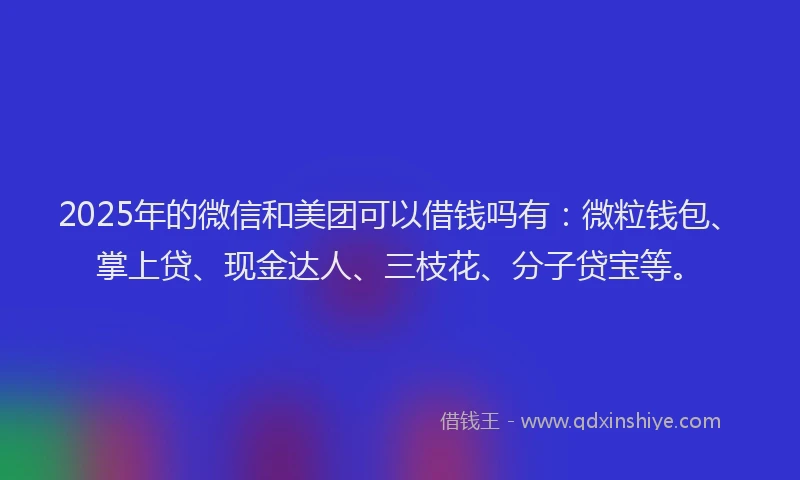 2025年的微信和美团可以借钱吗有：微粒钱包、掌上贷、现金达人、三枝花、分子贷宝等。