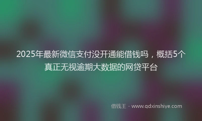 2025年最新微信支付没开通能借钱吗，概括5个真正无视逾期大数据的网贷平台