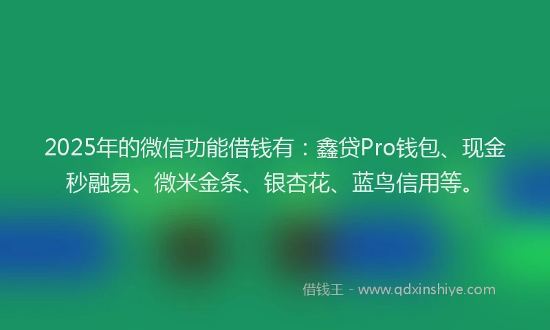 2025年的微信功能借钱有：鑫贷Pro钱包、现金秒融易、微米金条、银杏花、蓝鸟信用等。