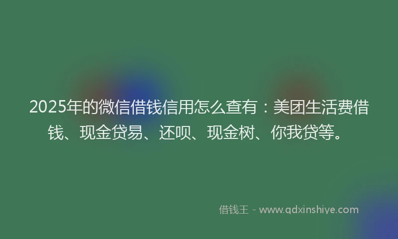 2025年的微信借钱信用怎么查有：美团生活费借钱、现金贷易、还呗、现金树、你我贷等。