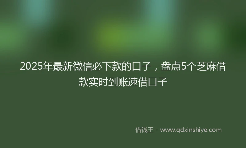 2025年最新微信必下款的口子，盘点5个芝麻借款实时到账速借口子