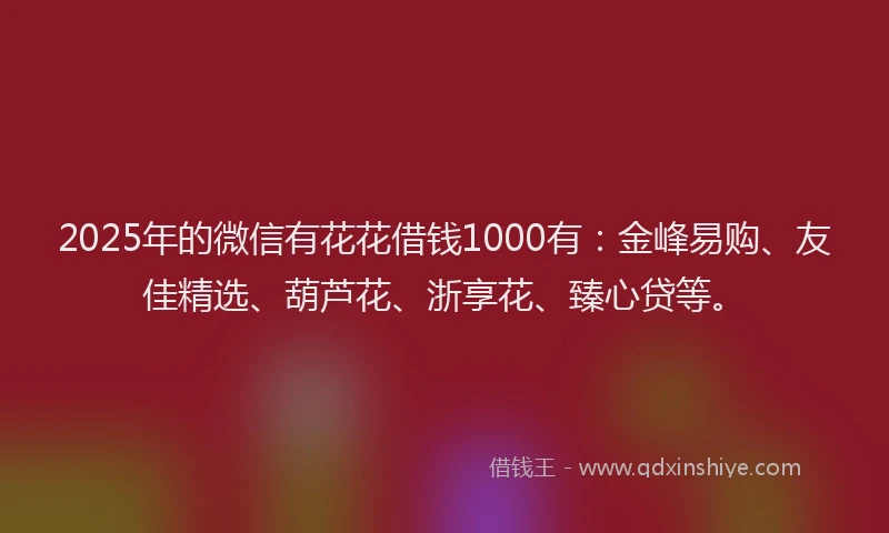 2025年的微信有花花借钱1000有：金峰易购、友佳精选、葫芦花、浙享花、臻心贷等。