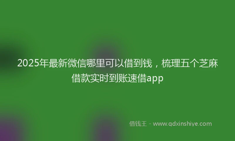 2025年最新微信哪里可以借到钱，梳理五个芝麻借款实时到账速借app
