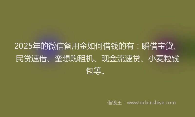 2025年的微信备用金如何借钱的有：瞬借宝贷、民贷速借、蛮想购租机、现金流速贷、小麦粒钱包等。