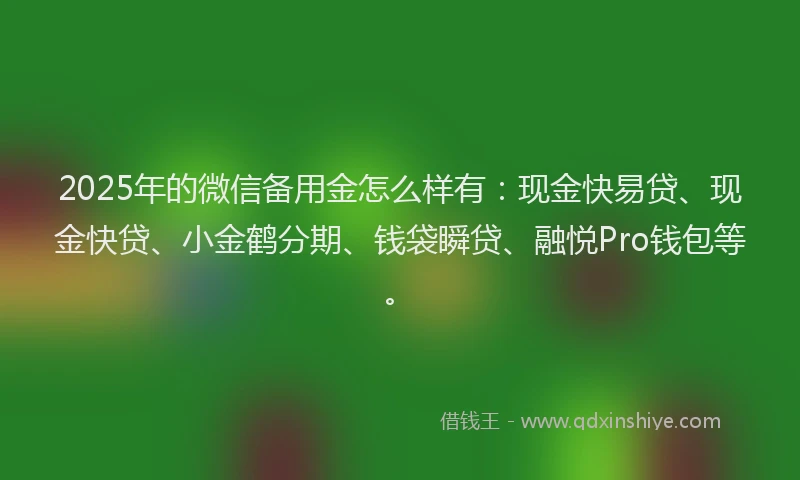 2025年的微信备用金怎么样有：现金快易贷、现金快贷、小金鹤分期、钱袋瞬贷、融悦Pro钱包等。