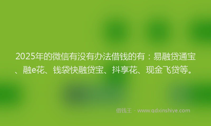2025年的微信有没有办法借钱的有：易融贷通宝、融e花、钱袋快融贷宝、抖享花、现金飞贷等。