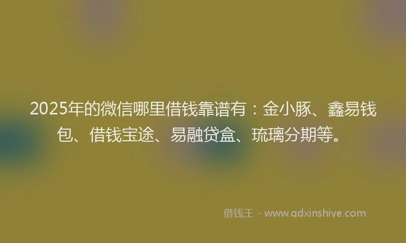 2025年的微信哪里借钱靠谱有：金小豚、鑫易钱包、借钱宝途、易融贷盒、琉璃分期等。