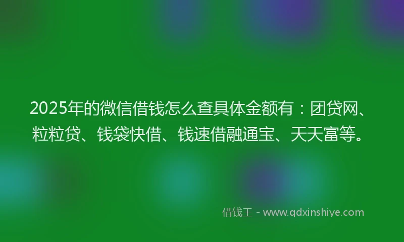 2025年的微信借钱怎么查具体金额有：团贷网、粒粒贷、钱袋快借、钱速借融通宝、天天富等。
