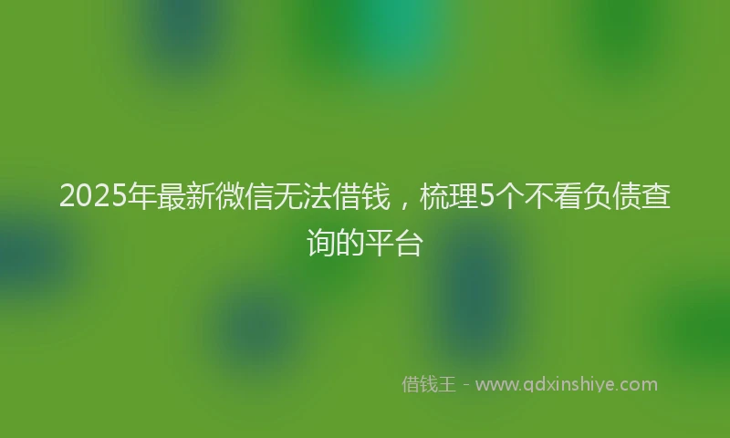 2025年最新微信无法借钱，梳理5个不看负债查询的平台
