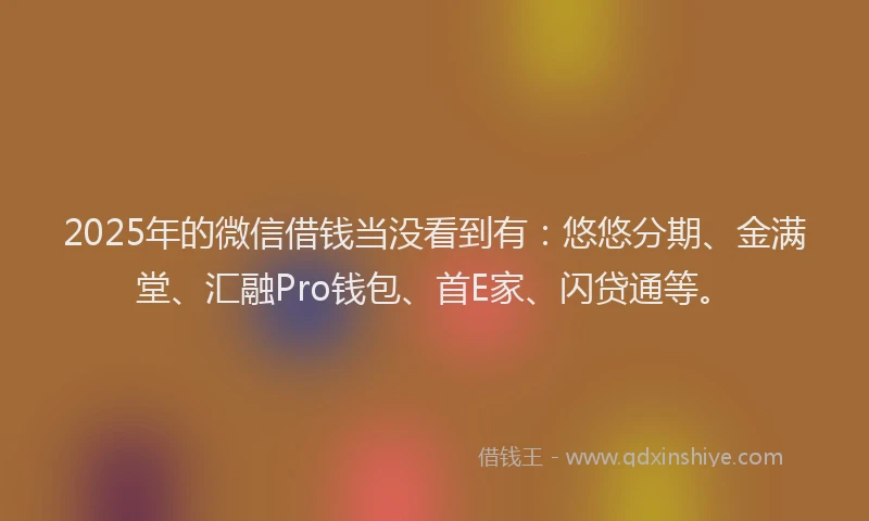 2025年的微信借钱当没看到有：悠悠分期、金满堂、汇融Pro钱包、首E家、闪贷通等。