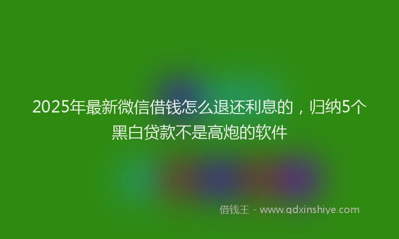 2025年最新微信借钱怎么退还利息的，归纳5个黑白贷款不是高炮的软件