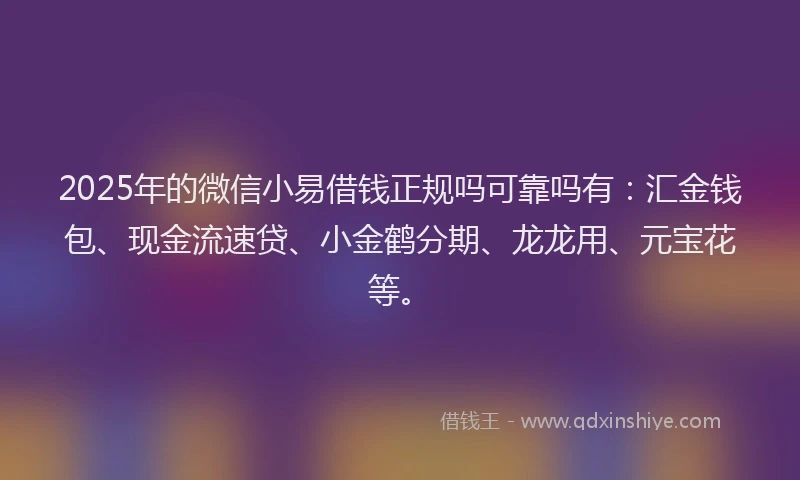 2025年的微信小易借钱正规吗可靠吗有：汇金钱包、现金流速贷、小金鹤分期、龙龙用、元宝花等。