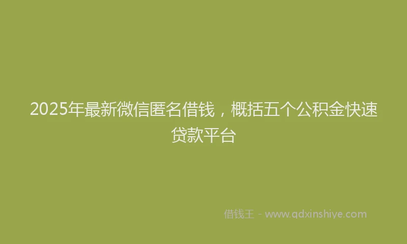 2025年最新微信匿名借钱，概括五个公积金快速贷款平台