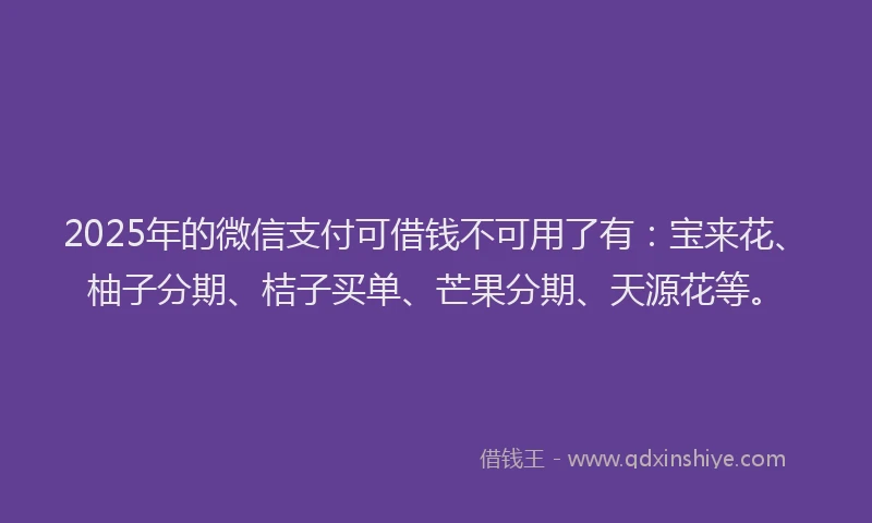 2025年的微信支付可借钱不可用了有：宝来花、柚子分期、桔子买单、芒果分期、天源花等。
