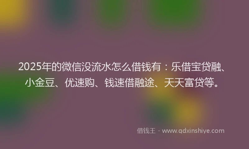 2025年的微信没流水怎么借钱有：乐借宝贷融、小金豆、优速购、钱速借融途、天天富贷等。