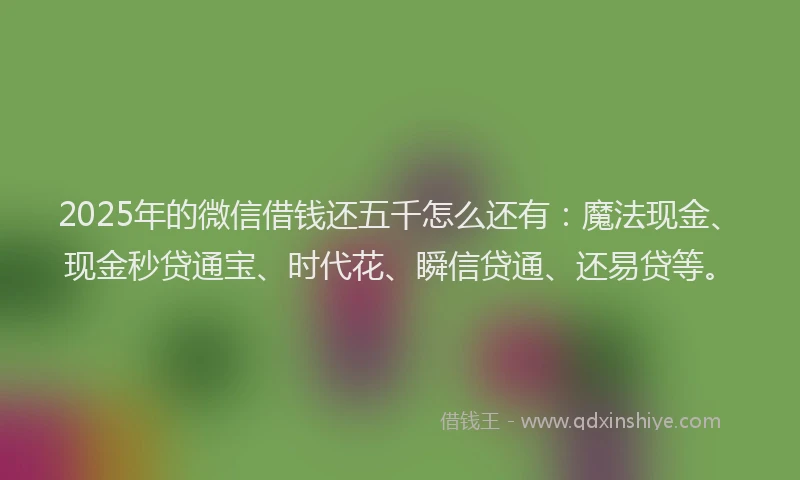 2025年的微信借钱还五千怎么还有：魔法现金、现金秒贷通宝、时代花、瞬信贷通、还易贷等。