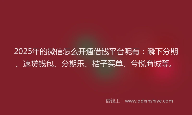 2025年的微信怎么开通借钱平台呢有：瞬下分期、速贷钱包、分期乐、桔子买单、兮悦商城等。