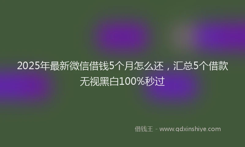 2025年最新微信借钱5个月怎么还，汇总5个借款无视黑白100%秒过