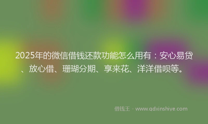 2025年的微信借钱还款功能怎么用有：安心易贷、放心借、珊瑚分期、享来花、洋洋借呗等。